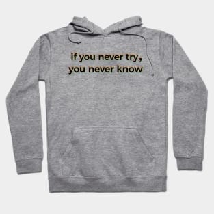 If You Never Try You Never Know Hoodie